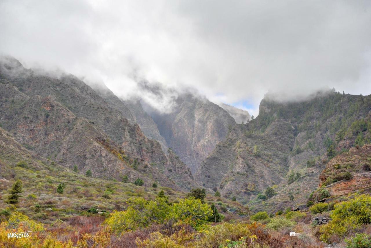 Naturaleza Viva El Socorro Exterior photo